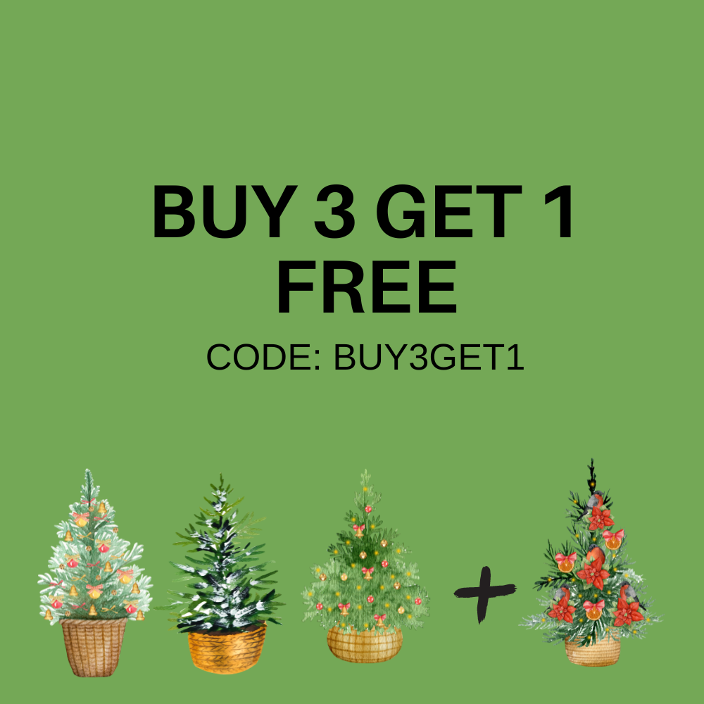 Buy 3 get 1 free | K-Beauty Blossom USA