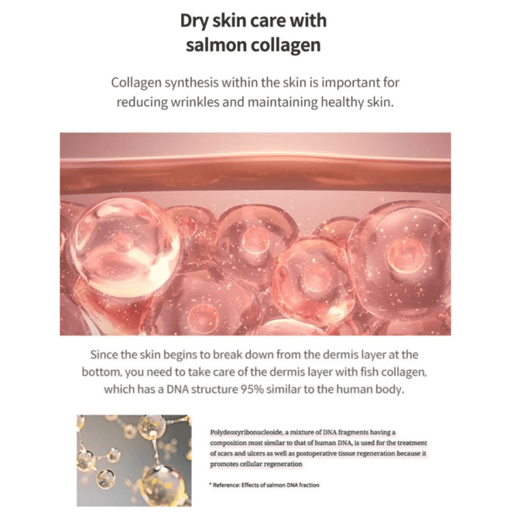 Salmon collagen for KAHI Wrinkle Bounce Collagen Mist Ampoule 60ml | K-Beauty Blossom USA