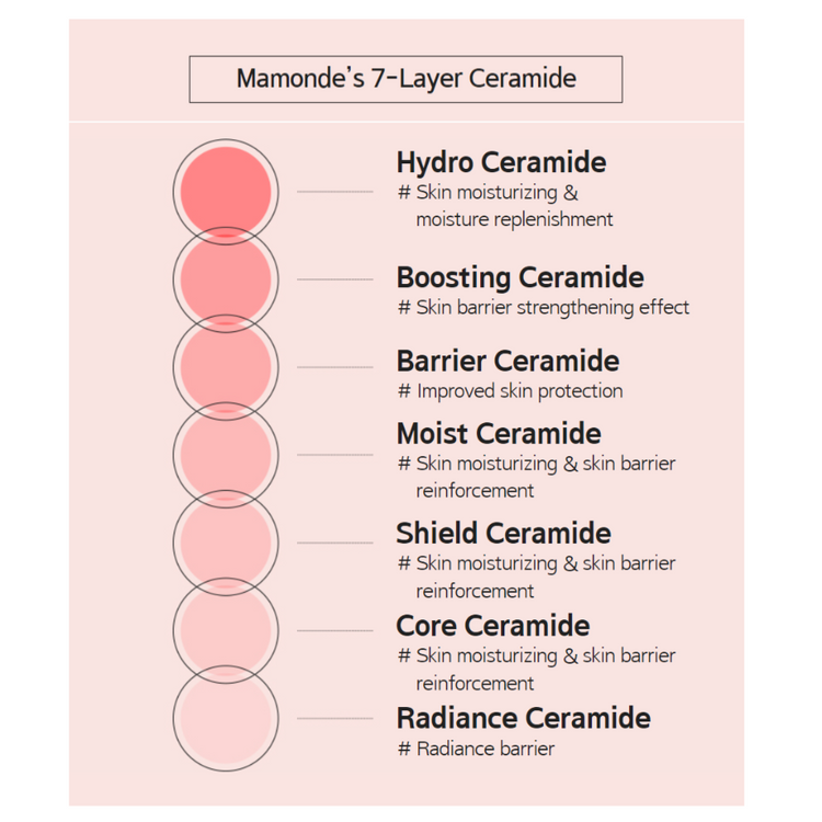 7 layer ceramide - MAMONDE Probiotics Ceramide Cream | K-Beauty Blossom USA
