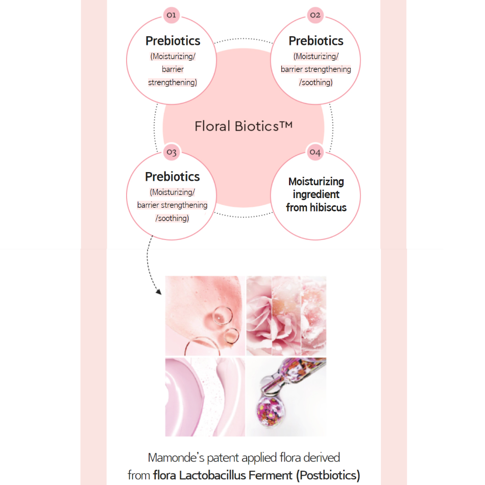 Main ingredients of MAMONDE Probiotics Ceramide Cream | K-Beauty Blossom USA
