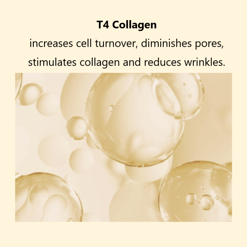 AHC Premier Rich Propolis Ampoule Balm contains T4 Collagen | K-Beauty Blossom USA